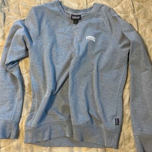bluish/grayish patagonia sweatshirt